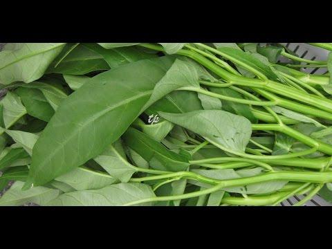 Rau Muong (Water Spinach / Ong Choy) – Xem Video Cách Trồng Rau Muống Trong Chậu, Chuyện Rau Muống