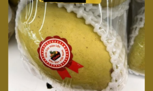 Giàu to… xoài $31 một ký