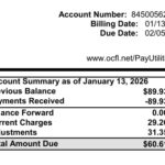Screenshot_31-1-2026_1446_orangecountyflutilities.selectpaytoday.com (1)